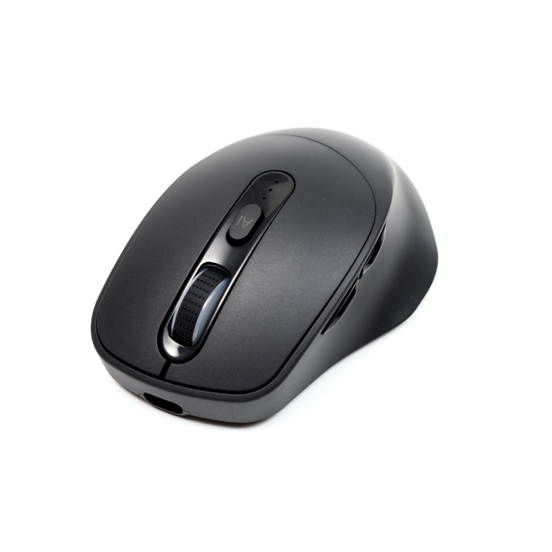 [PC-045168] Mouse PERFECT CHOICE PC-045168