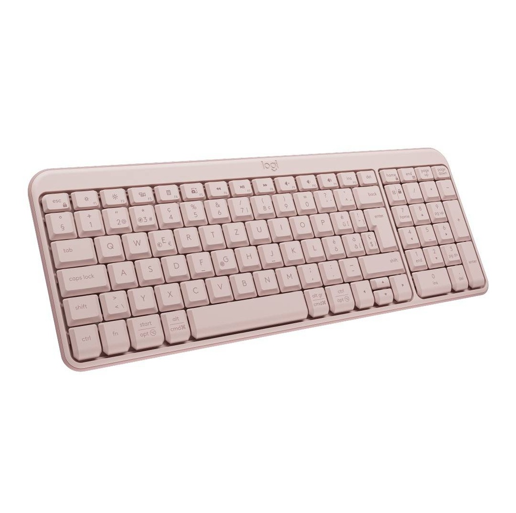 [920-013447] Teclados LOGITECH K250