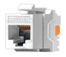 [AX101320] Conector Jack RJ45 CAT6  BELDEN AX101320