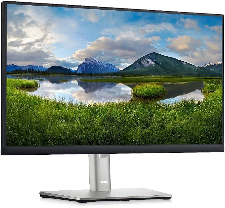 [P2225H] Monitor DELL 210-BLXJ