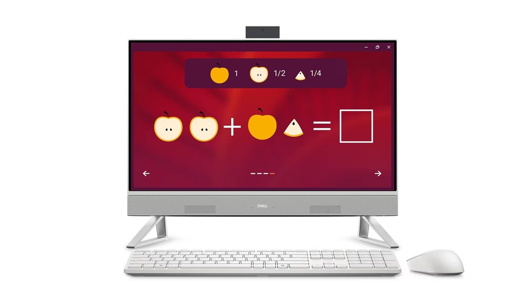 All in One DELL EC24250