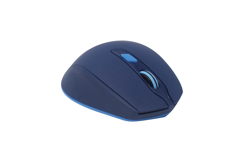 [NA-0119A] Mouse Naceb Technology NA-0119A